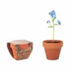 FORGET ME NOT - TERAKOTNA POSODA 'NE POZABI ME'